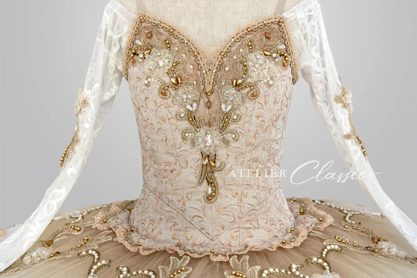 パキータ 正面detail