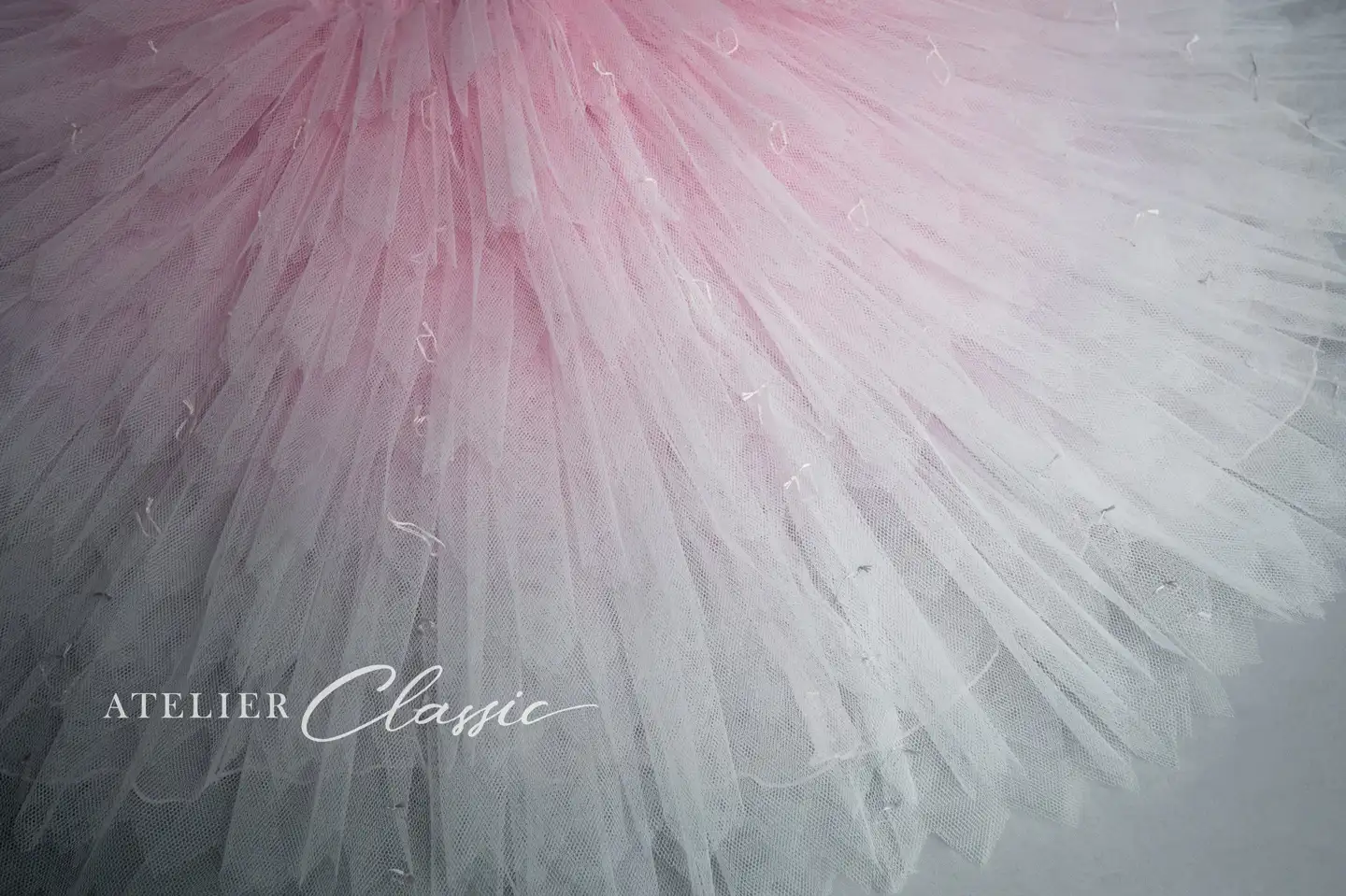 アルカード チュチュの中のカラー