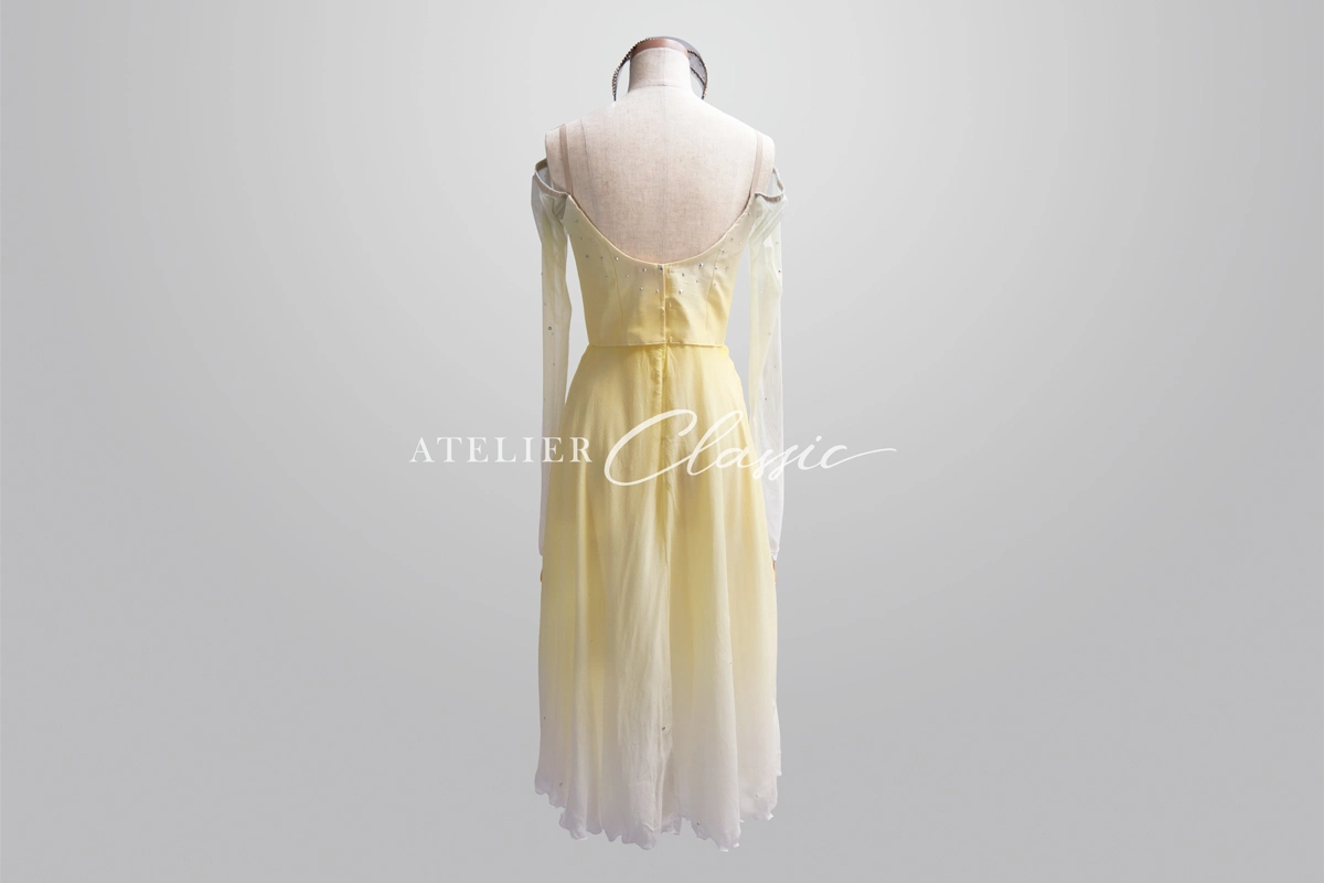 月に寄せる歌衣装 back style