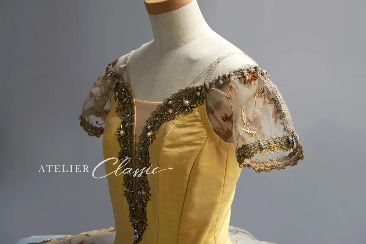 パキータエトワール衣装 袖のデザイン